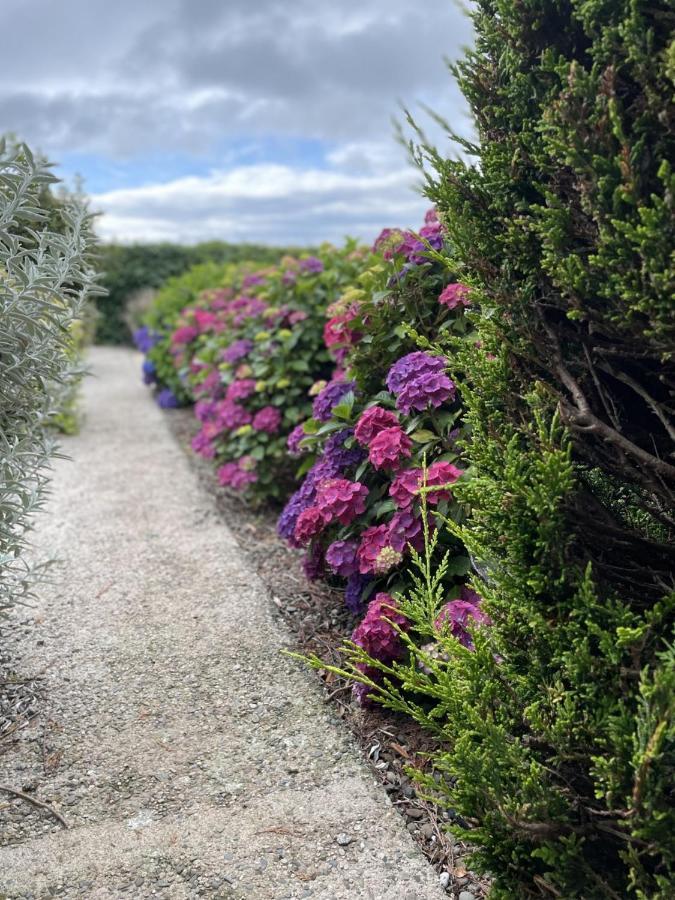 Galloway Farmstay Claunch Newton Stewart Exteriér fotografie